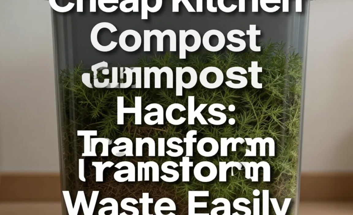 Cheap Kitchen Compost Hacks: Transform Waste Easily