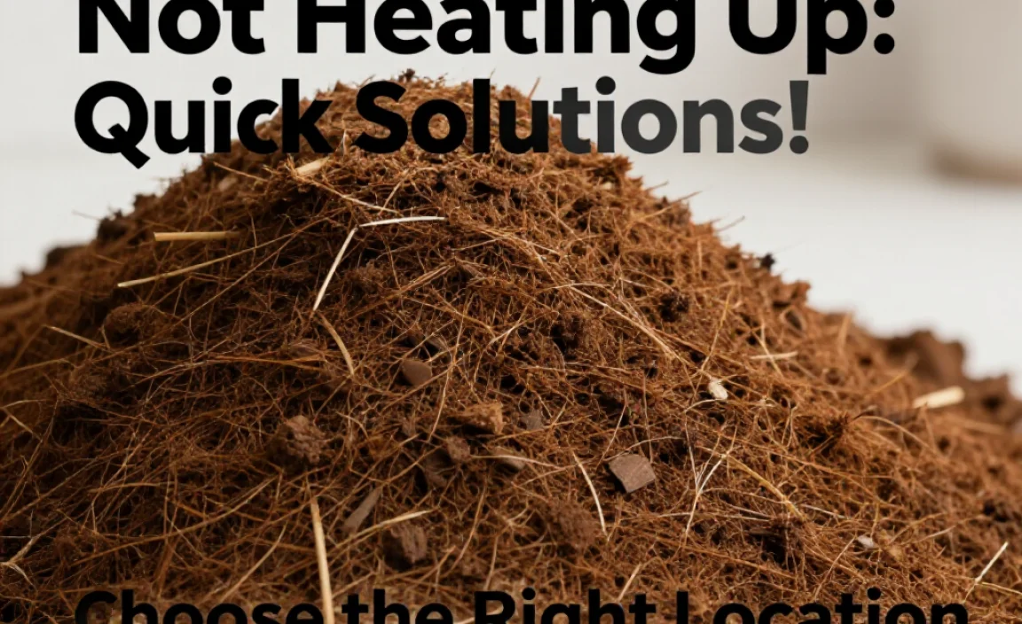 Choose the Right Location