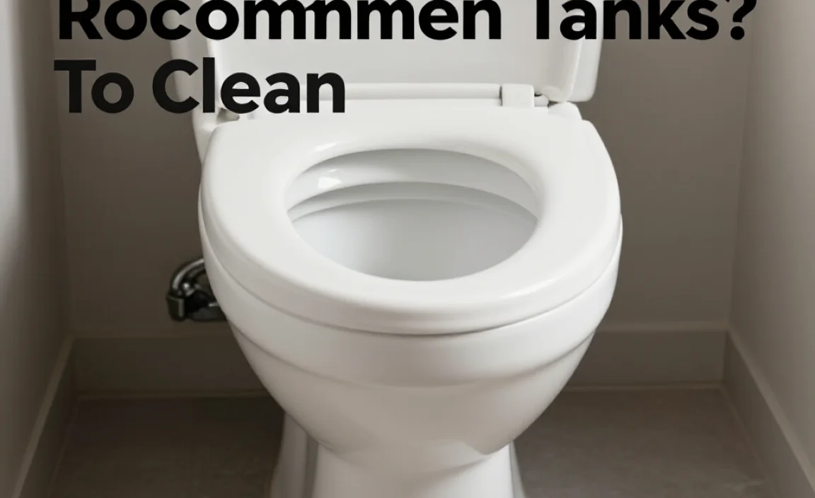 Common Causes of Toilet Tank Dirt and Stains