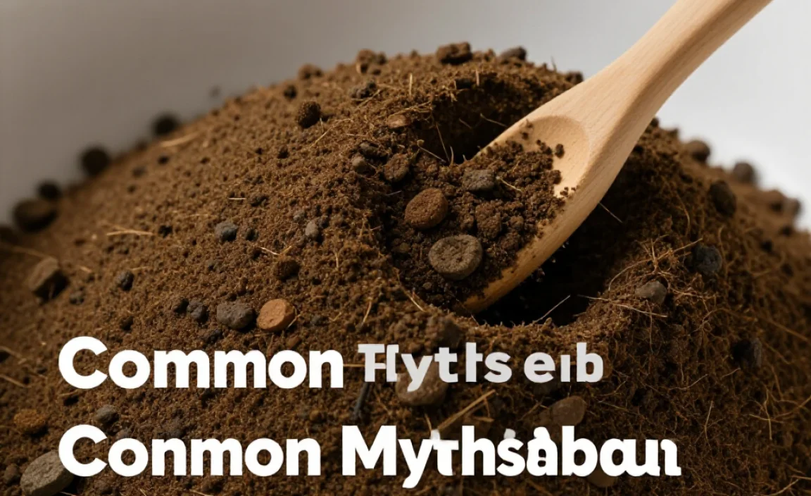 Common Myths About Compost Enzymes