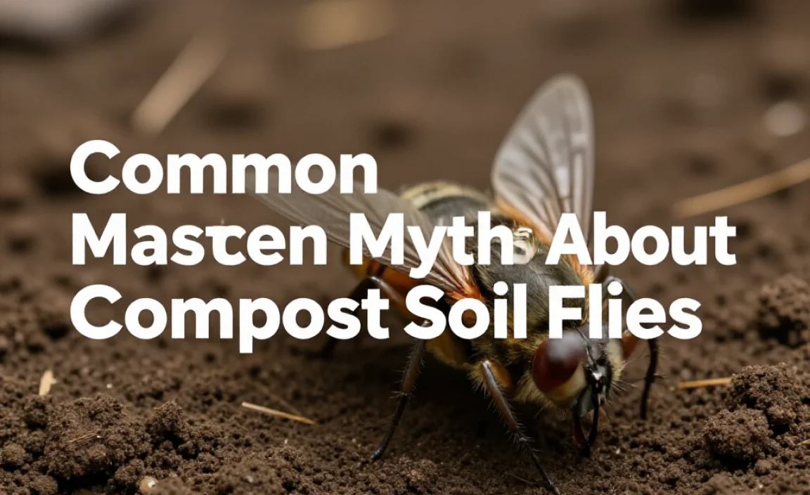 Common Myths About Compost Soil Flies