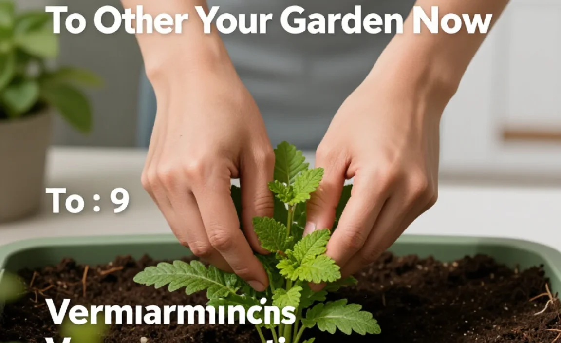 Comparing Vermicomposting To Other Composting Methods