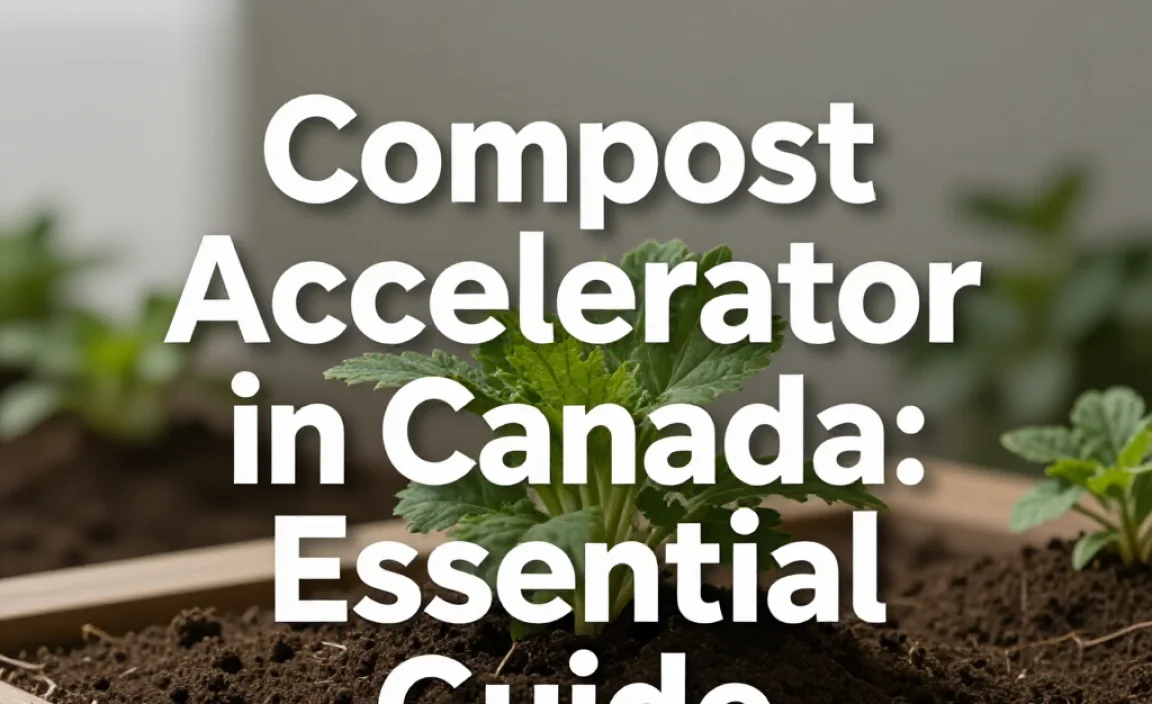Compost Accelerator in Canada: Essential Guide