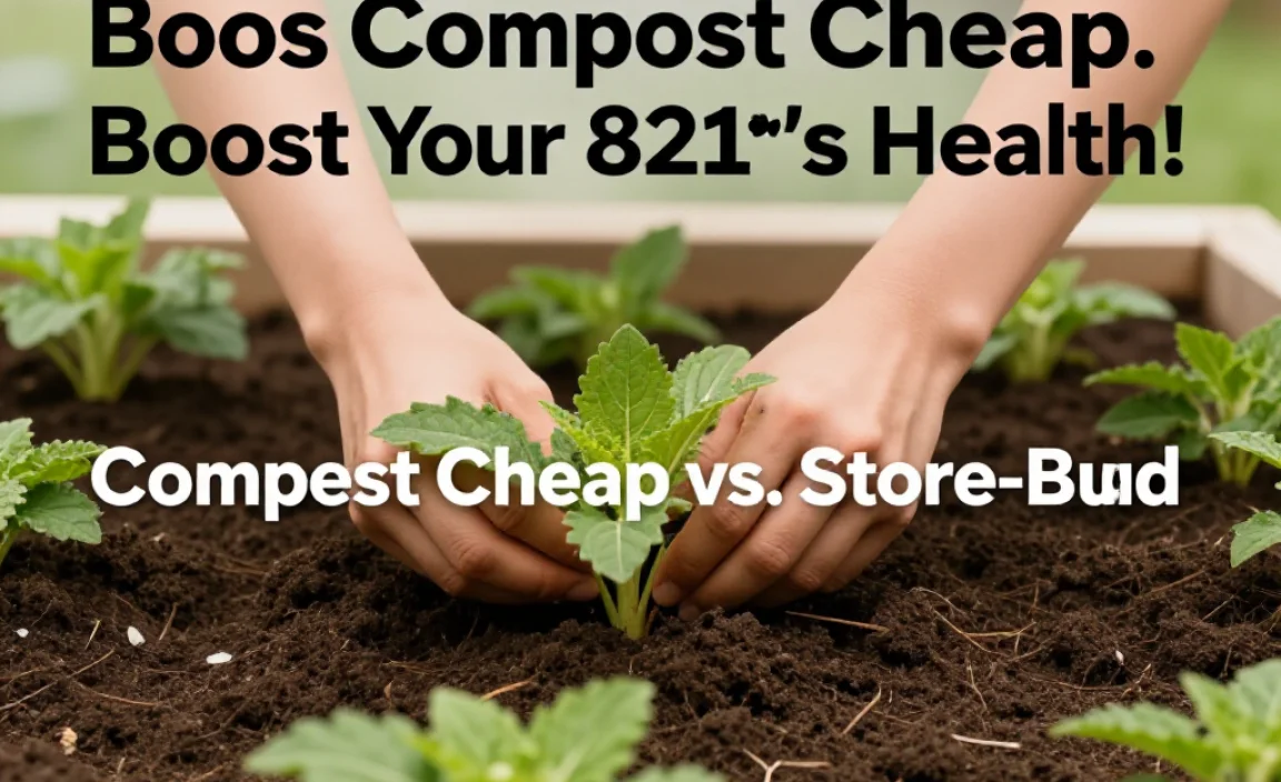 Compost Cheap vs. Store-Bought