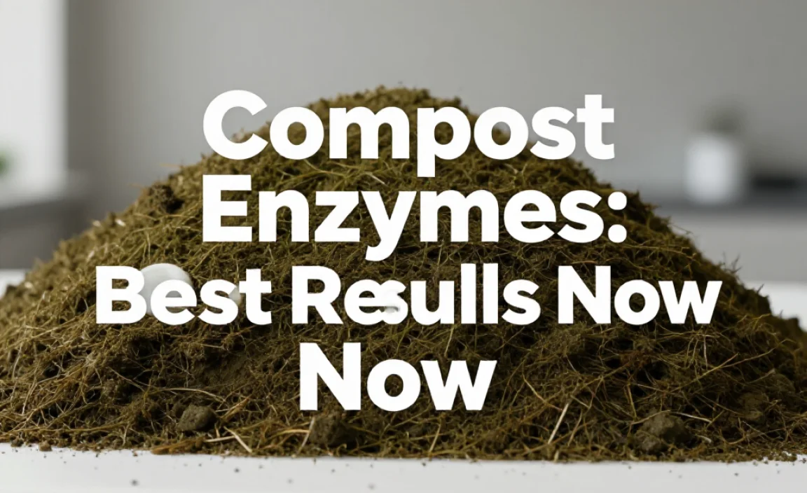 Compost Enzymes: Best Results Now