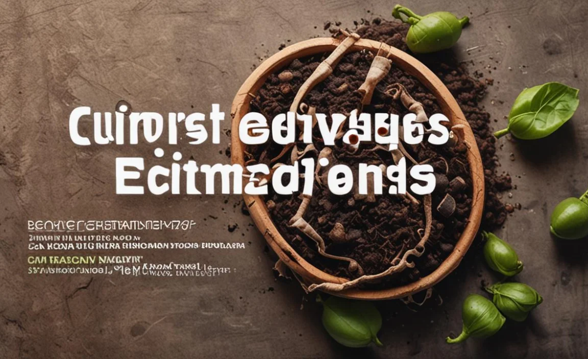 Compost Enzymes Comparison: Essential Guide