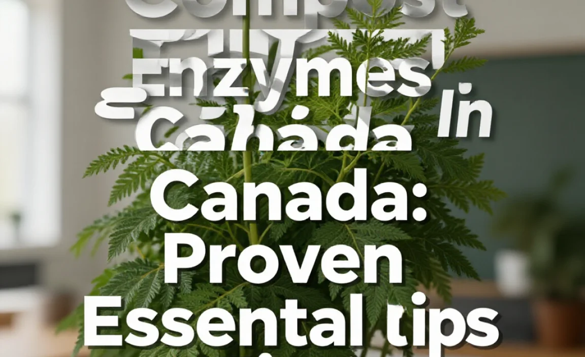 Compost Enzymes In Canada: Proven Essential Tips