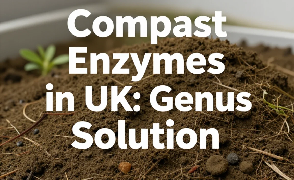 Compost Enzymes in UK: Genius Solution