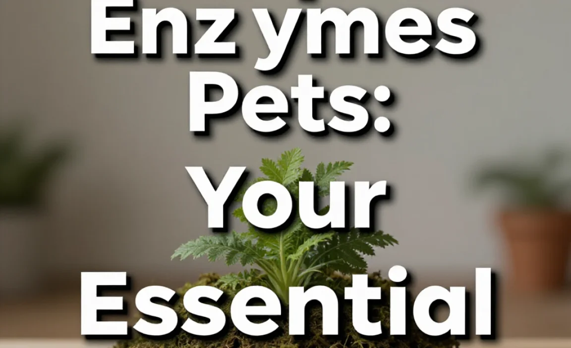 Compost Enzymes Pets: Your Essential Guide