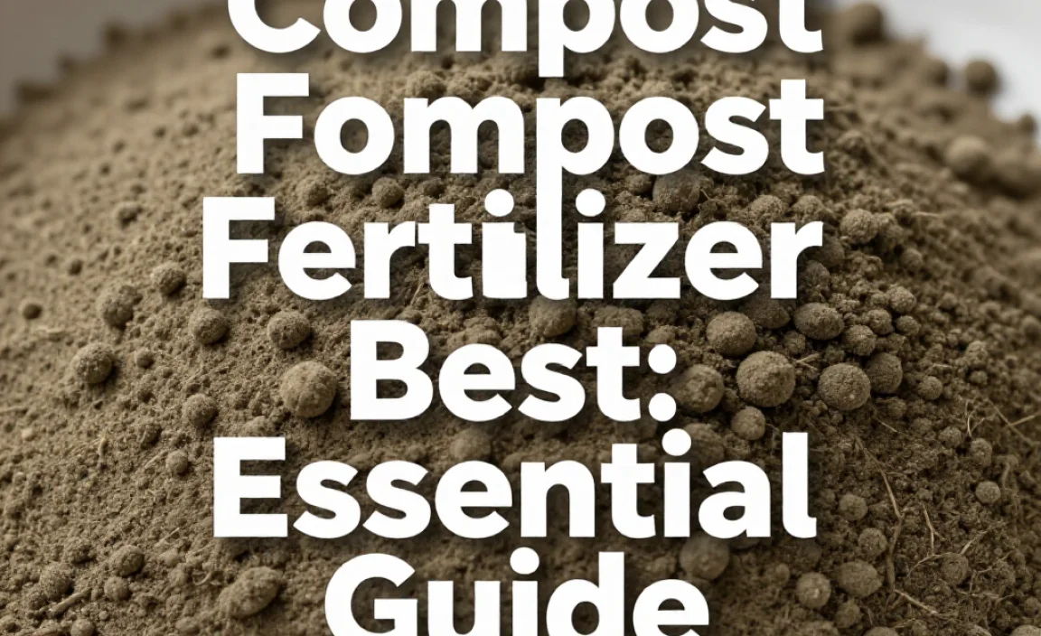 Compost Fertilizer Best: Essential Guide