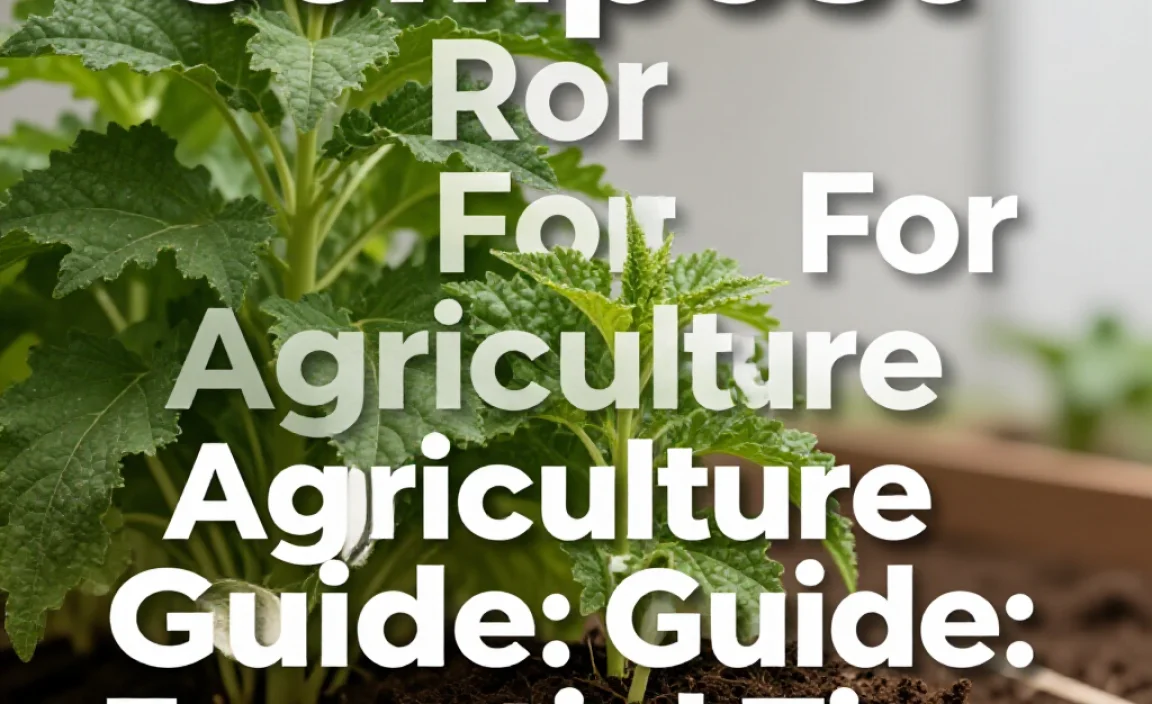 Compost For Agriculture Guide: Essential Tips