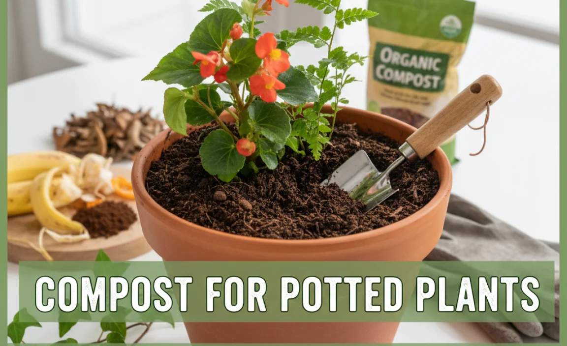 Compost For Potted Plants Best: Essential Guide
