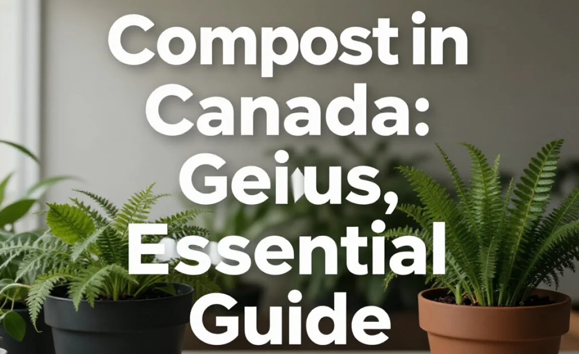 Compost in Canada: Genius, Essential Guide