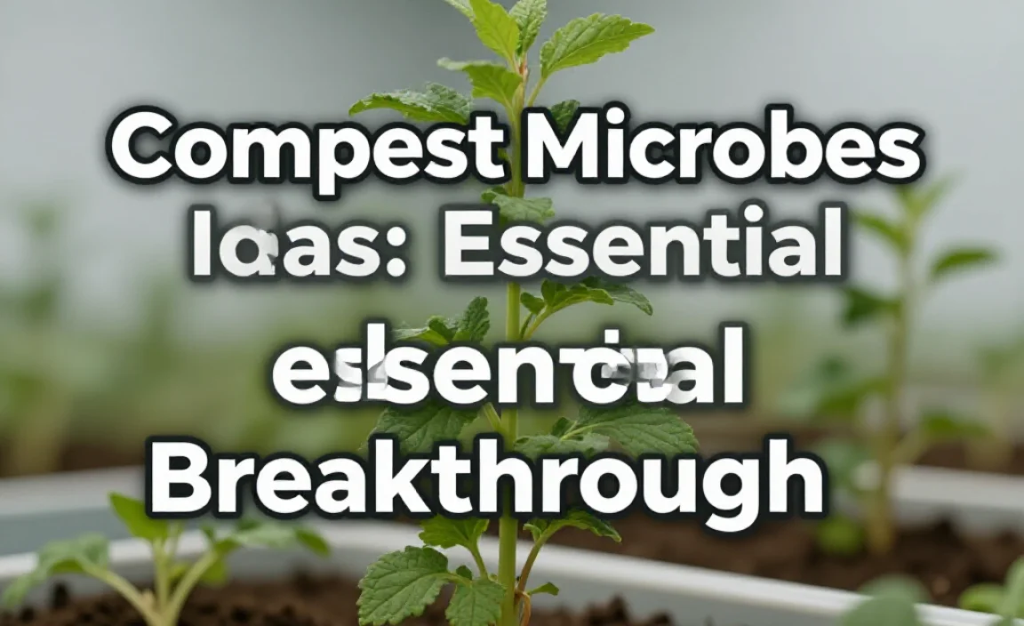 Compost Microbes Ideas: Essential Breakthroughs