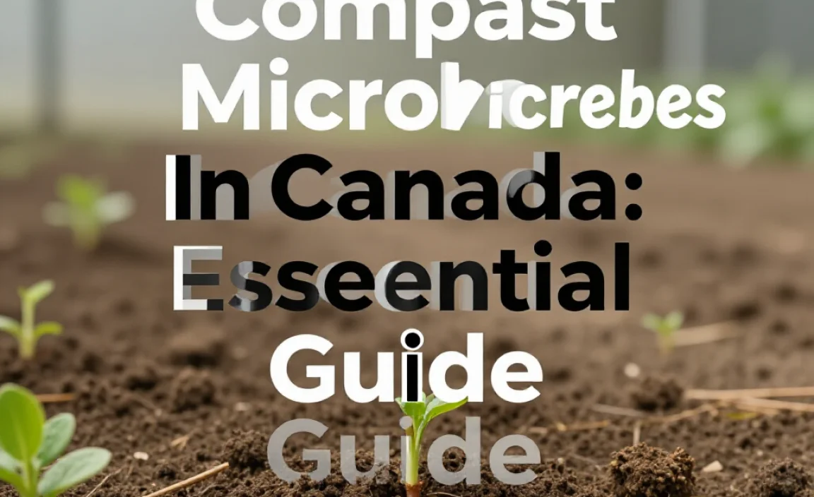 Compost Microbes In Canada: Essential Guide