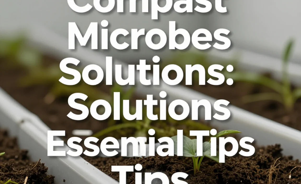 Compost Microbes Solutions: Genius Essential Tips