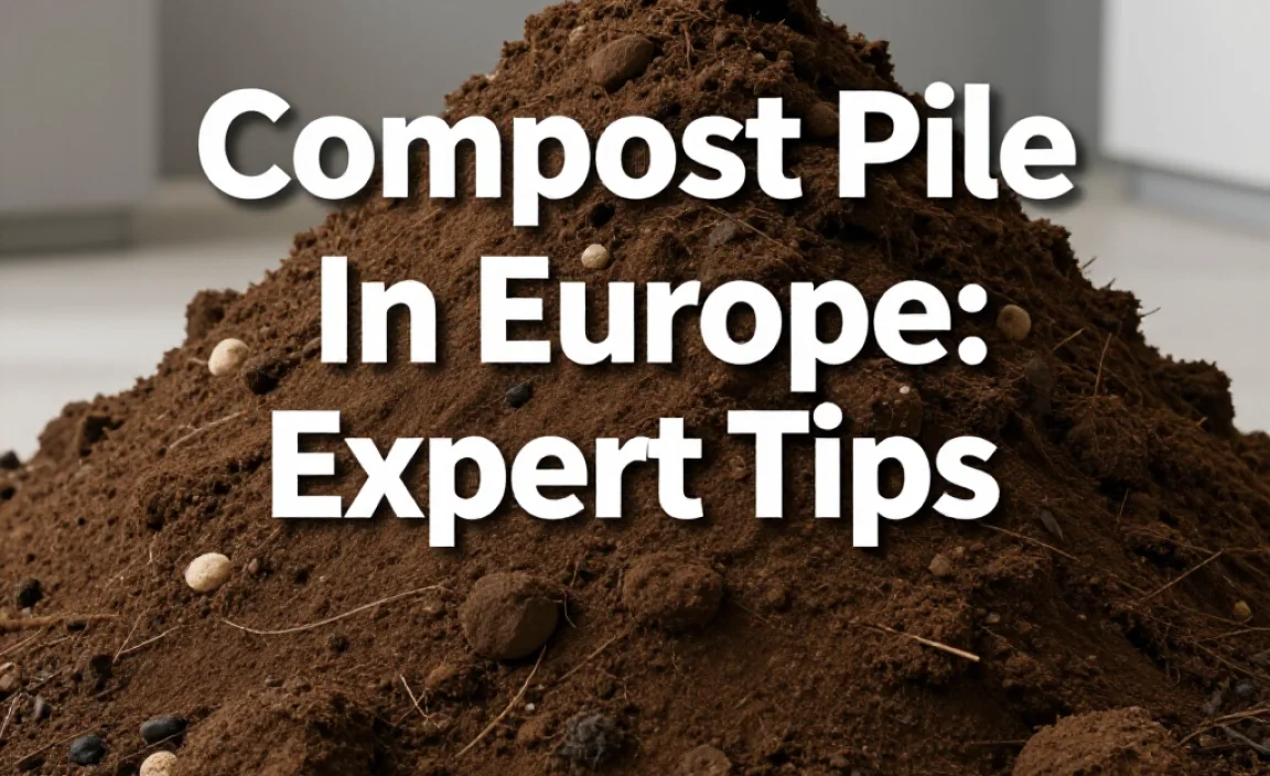 Compost Pile In Europe: Expert Tips