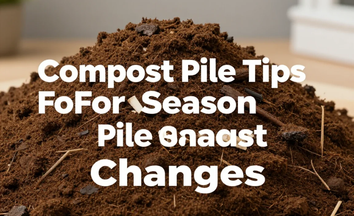 Compost Pile Tips For Season Changes