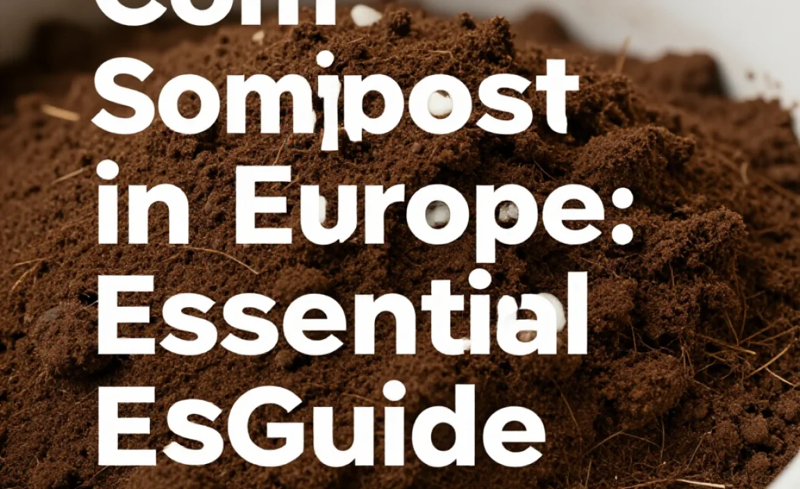 Compost Soil in Europe: Essential Guide