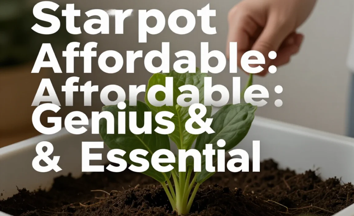 Compost Starter Affordable: Genius & Essential