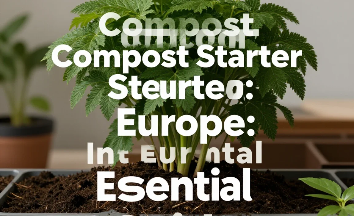 Compost Starter In Europe: Essential Guide