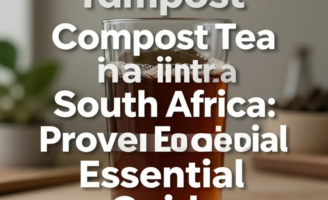 Compost Tea in South Africa: Proven Essential Guide