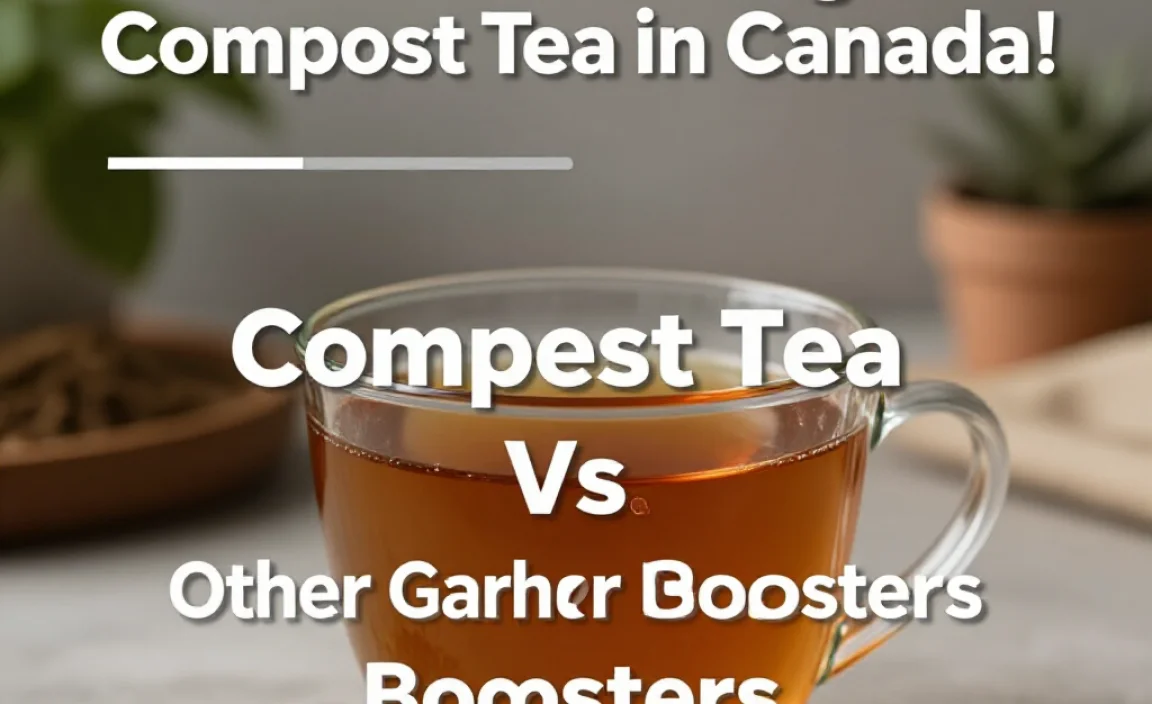 Compost Tea Vs. Other Garden Boosters