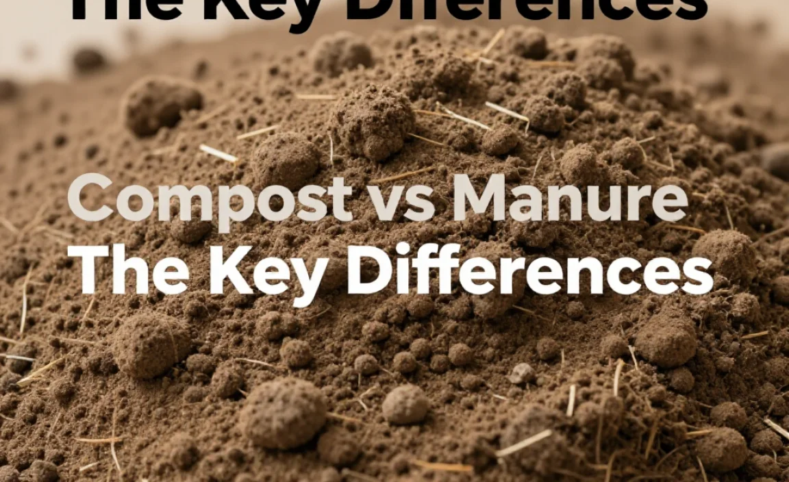Compost vs Manure: The Key Differences
