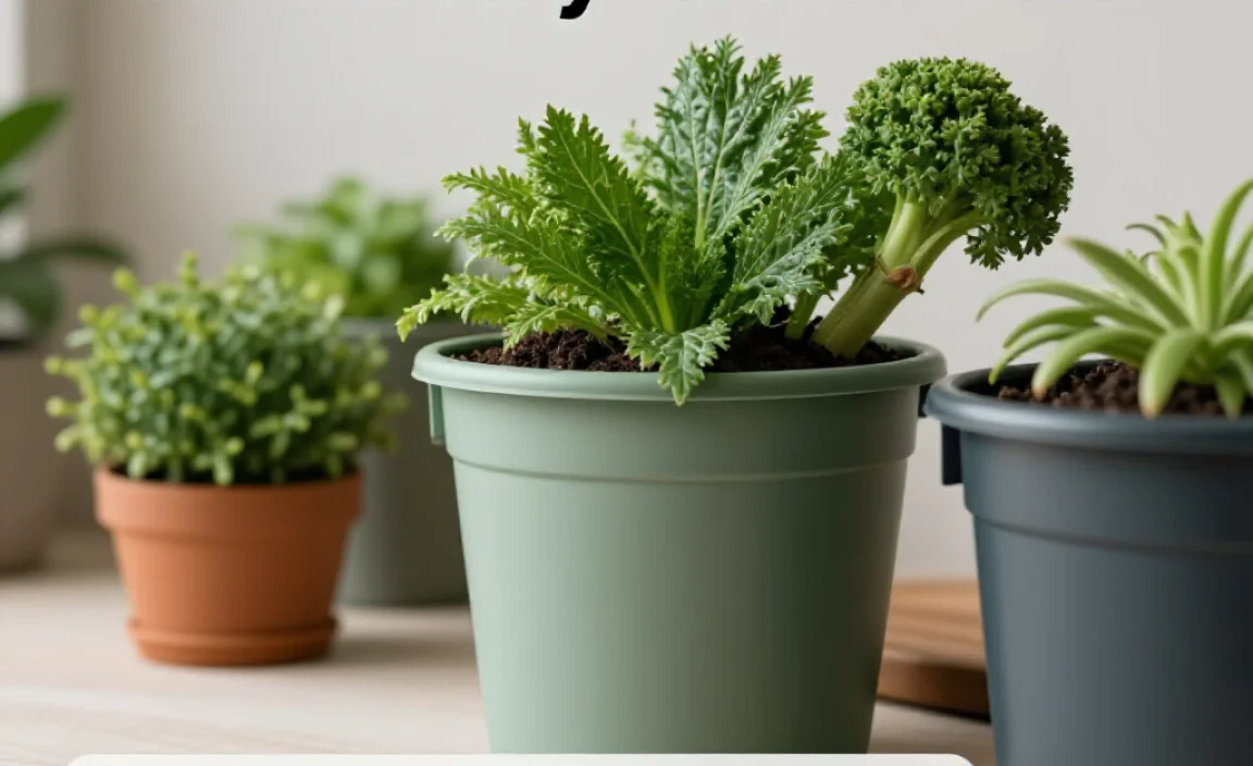 Composting and Community Impact