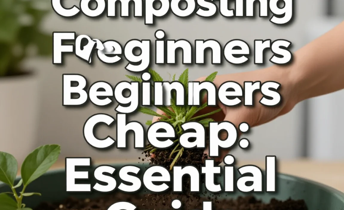 Composting For Beginners Cheap: Essential Guide