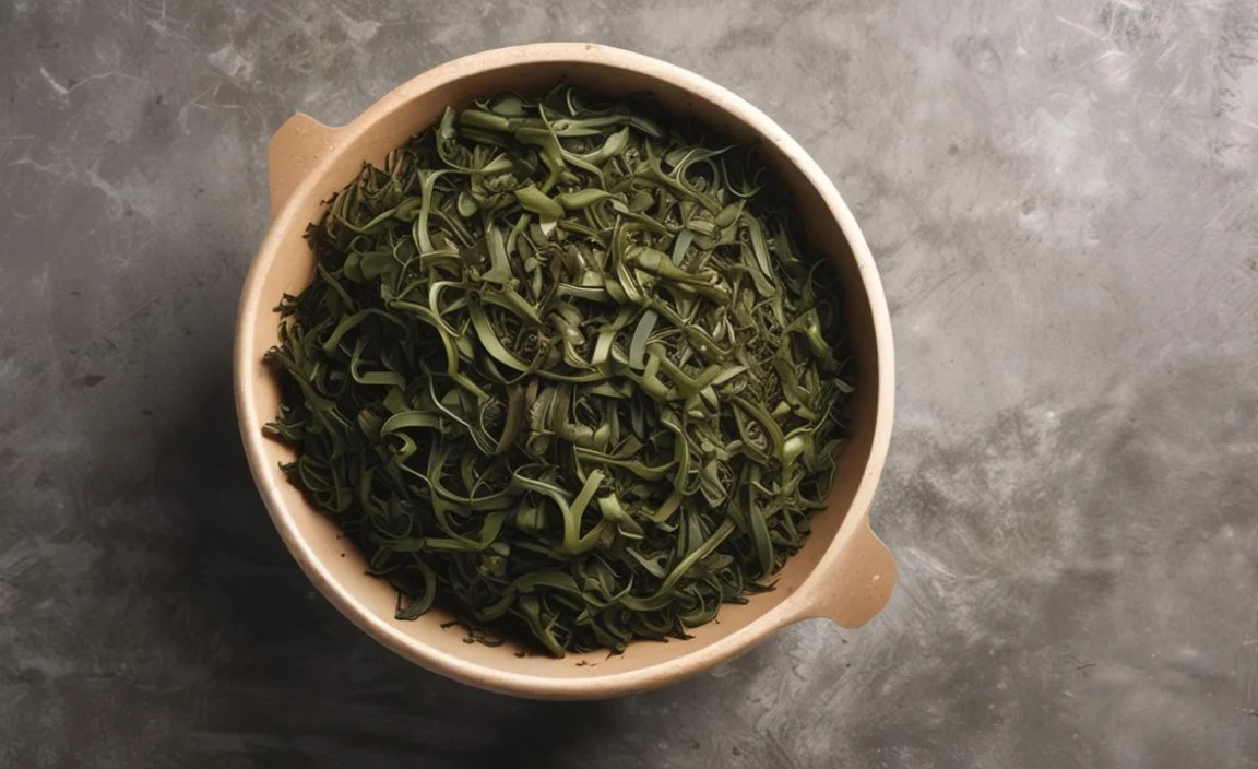 Composting Seaweed: The Step-by-Step Process