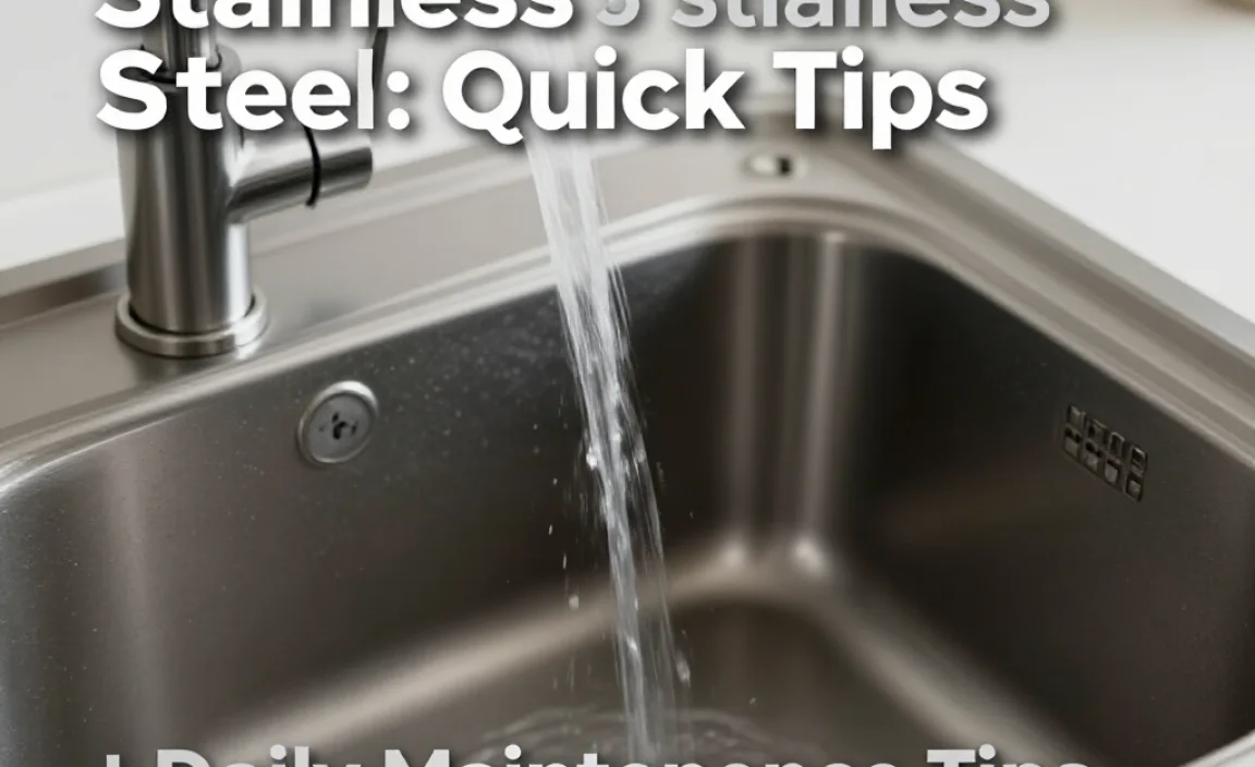 Daily Maintenance Tips