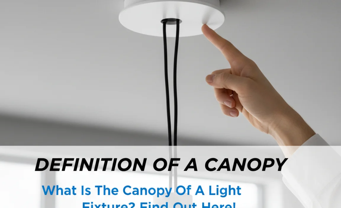 Definition of a Canopy