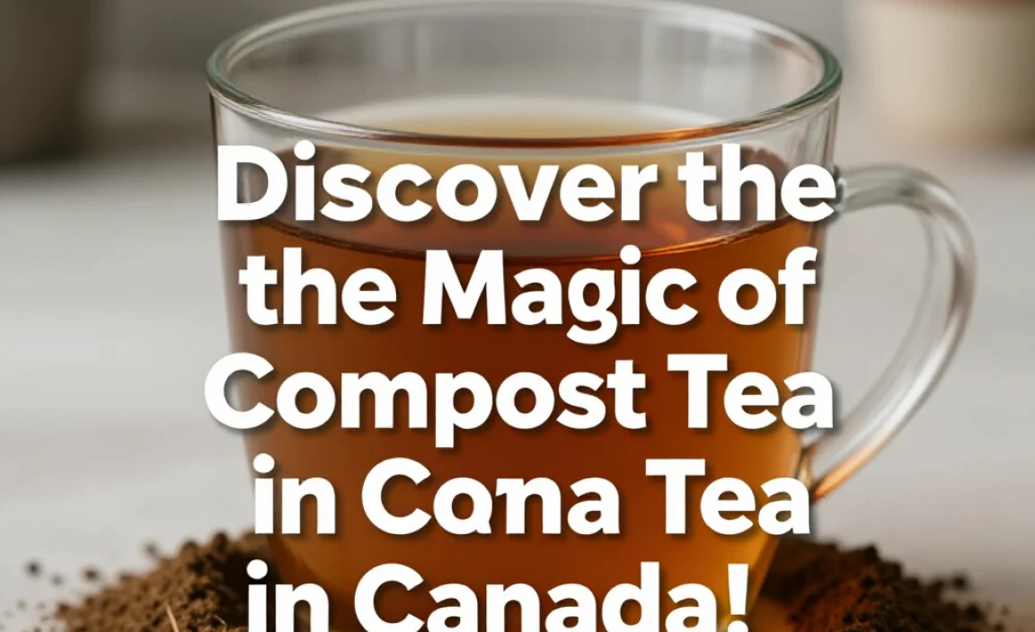 Discover the Magic of Compost Tea in Canada!