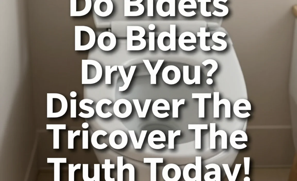 Do Bidets Dry You? Discover The Truth Today!