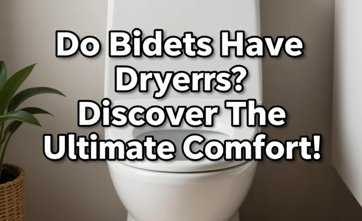 Do Bidets Have Dryers? Discover The Ultimate Comfort!