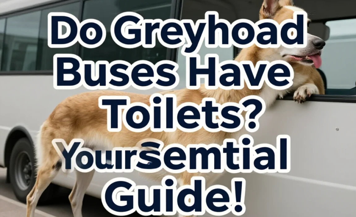 Do Greyhound Buses Have Toilets? Your Essential Guide!