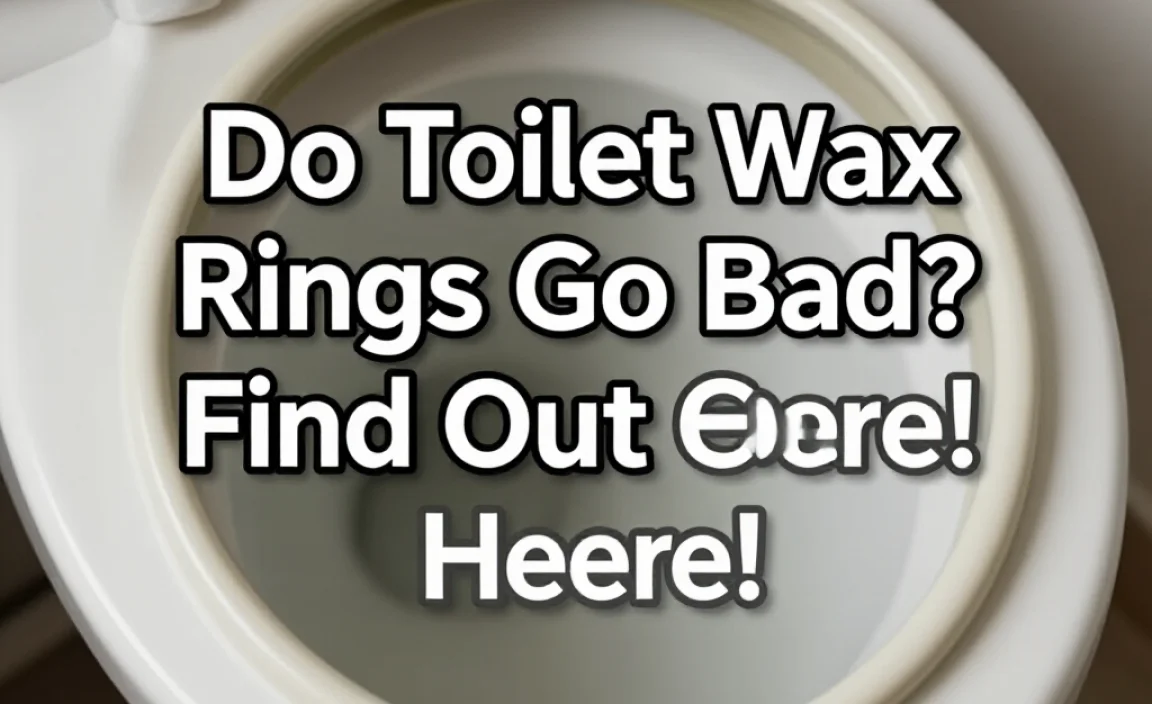 Do Toilet Wax Rings Go Bad? Find Out Here!