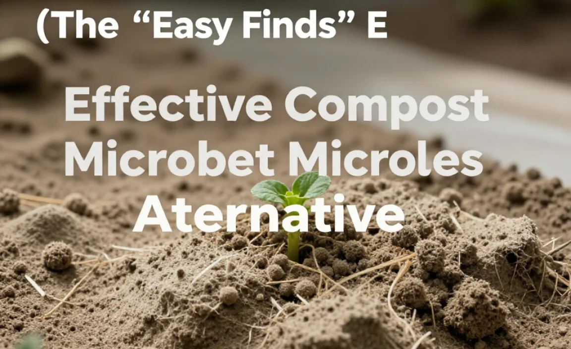 Effective Compost Microbes Alternatives (The &ldquo;Easy Finds&rdquo; Edition)
