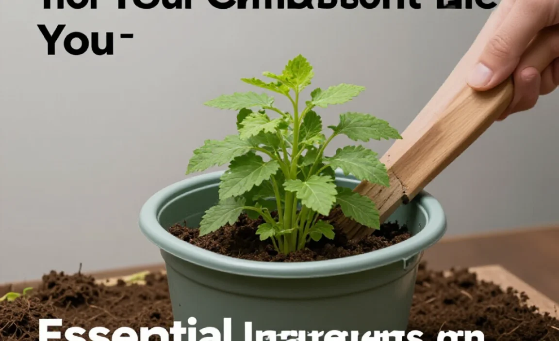 Essential Ingredients for Your Hot Compost Pile