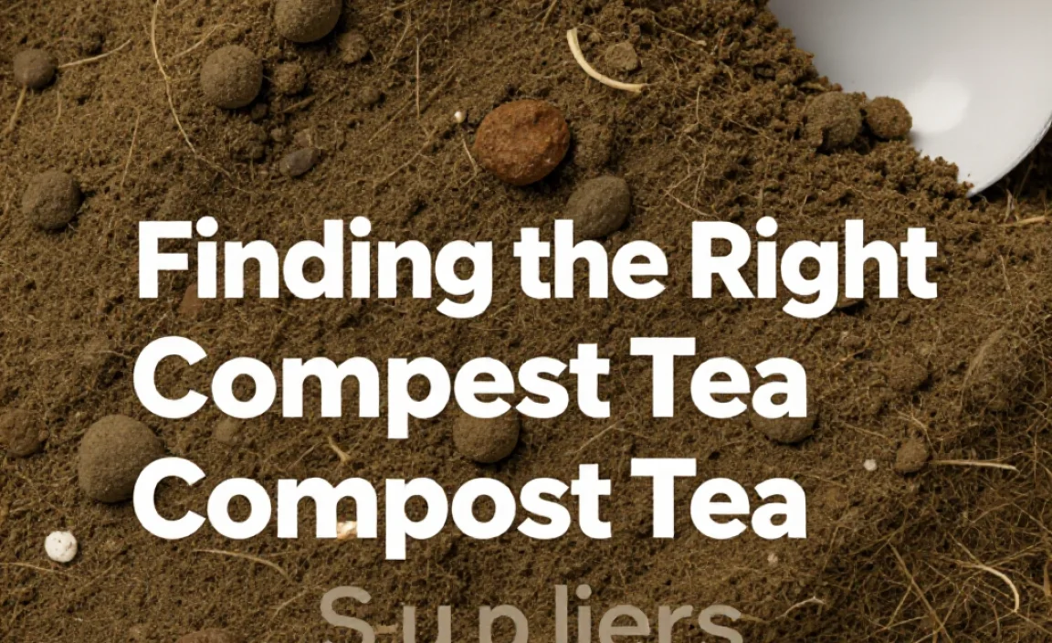 Finding the Right Compost Tea Suppliers