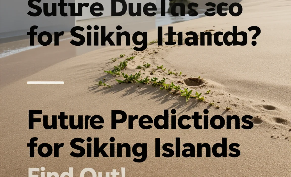 Future Predictions for Sinking Islands