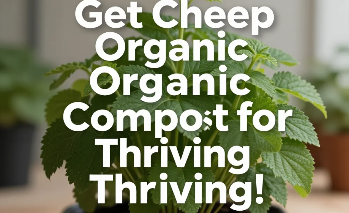 Get Cheap Organic Compost for Thriving Gardens!