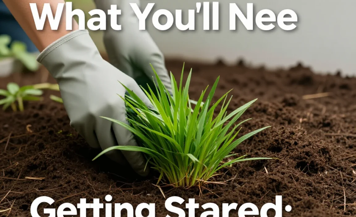 Getting Started: What You&rsquo;ll Need