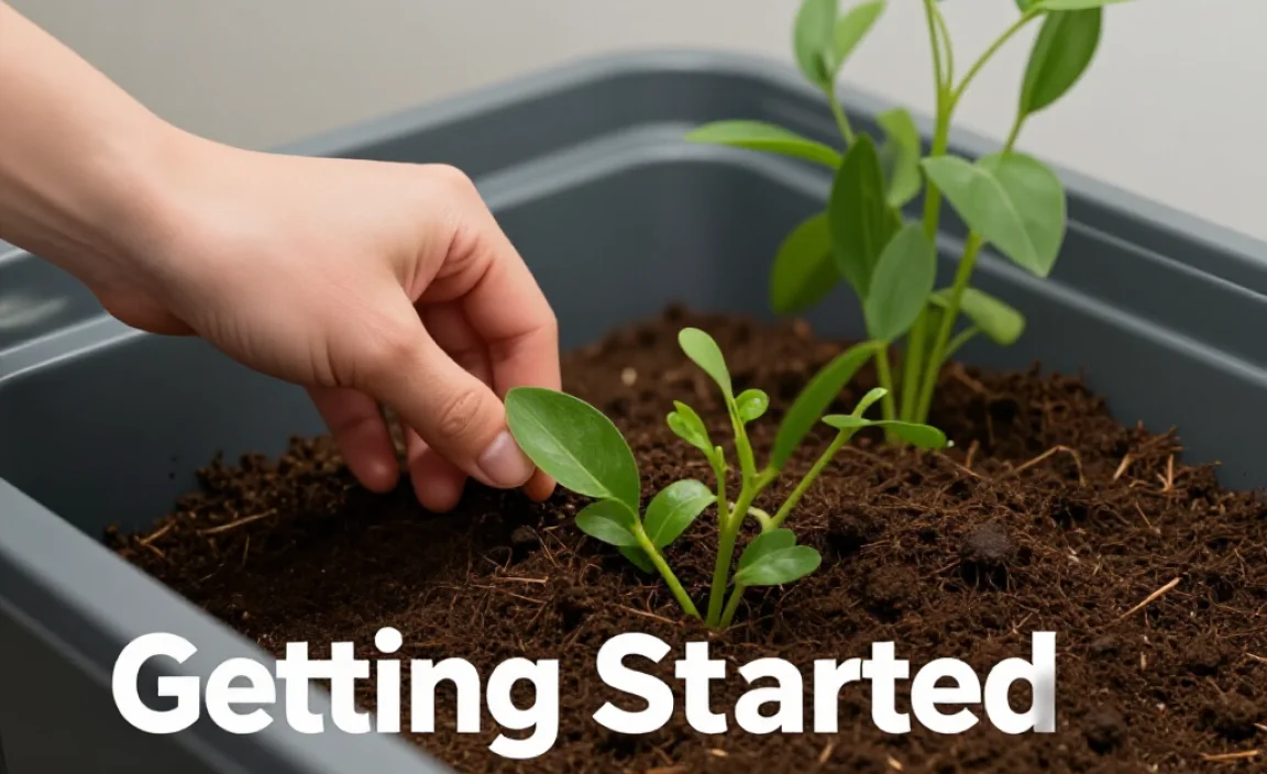 Getting Started: What You&rsquo;ll Need