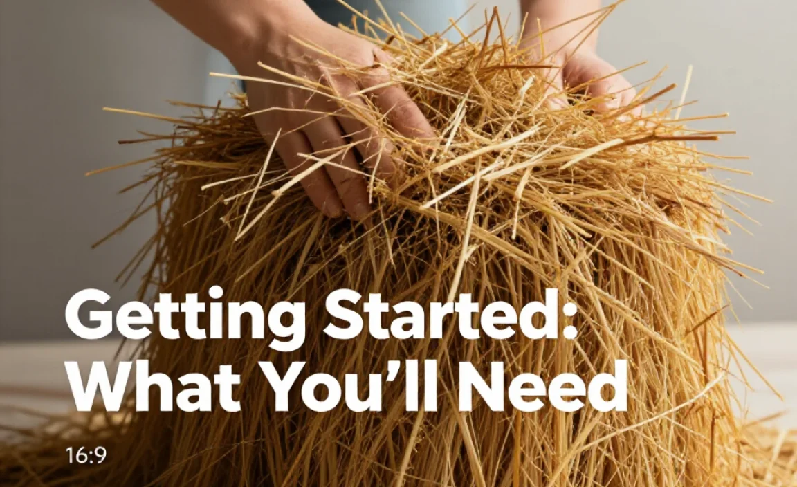 Getting Started: What You&rsquo;ll Need