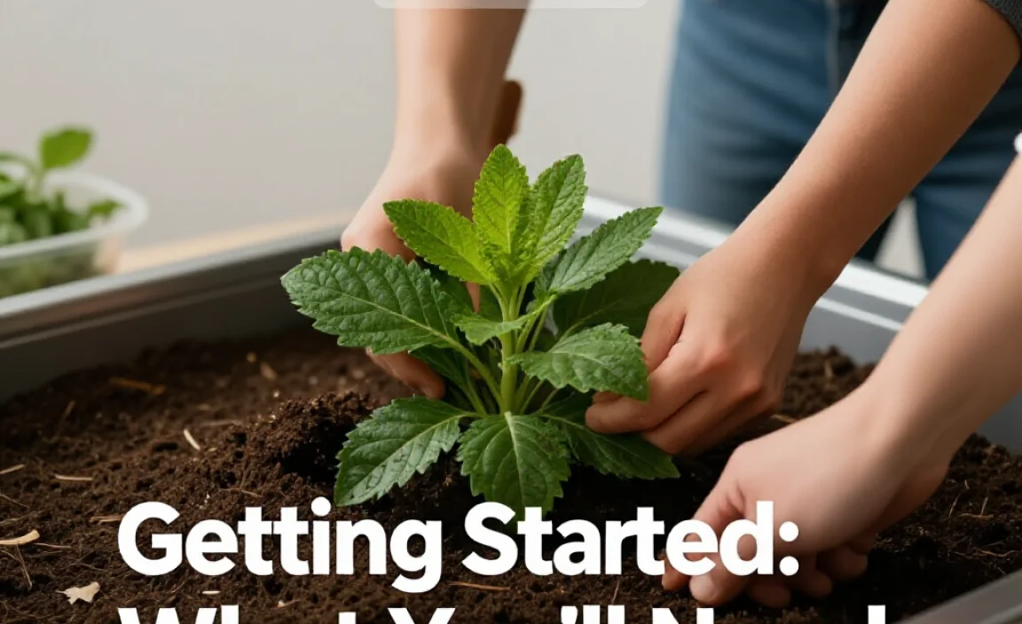 Getting Started: What You&rsquo;ll Need