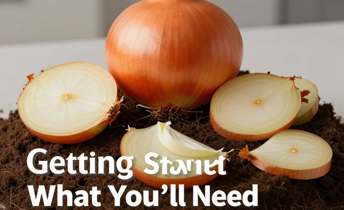 Getting Started: What You&rsquo;ll Need (Spoiler: Not Much!)