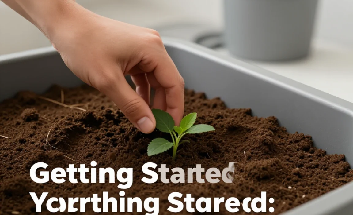 Getting Started: Your Step-by-Step Plan