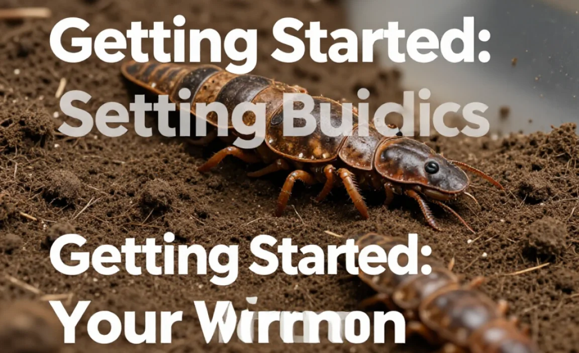 Getting Started: Your Worm Bin Essentials